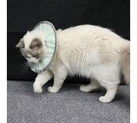 Ejoyous Collier de Récupération Léger et Résistant à l'eau pour Les Chats, Cercle Réglable avec Un Chiffon à la Mode, Plusieurs Tailles S/M/L, Empêcher Le Grattage, la Récupération éviter (L)