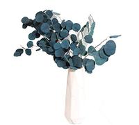 Ejoyous Eucalyptus Fleurs Séchées Fleurs Préservées Fleurs Éternelles Véritables Fleurs Immortelles, pour Décoration Maison Mariage Bouquet Bureau Salon (Blue)