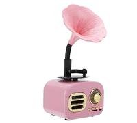 Ejoyous Haut-Parleur Bluetooth Portable, Boîtier de Haut-Parleur Rétro Vintage avec Bluetooth 5.2, Sortie 5 W, Lecture de Cartes, Mini en Plastique et Métal pour Voyage, Maison, Bureau (Pink)