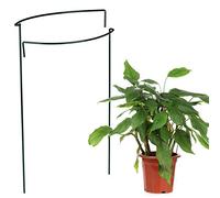 Ejoyous Lot de 3 supports pour plantes en fer inoxydable - 55 cm - Vert - Pour une croissance saine des plantes avec un aspect naturel - Pour roses, hydrotensions, légumes