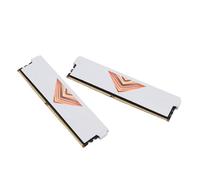 Ejoyous Mémoire RAM DDR4 8 Go 3600 MHz pour Ordinateur de Bureau, Module