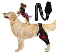 Ejoyous Protecteurs de Coude pour Chien - Soulage la Douleur de L'arthrite, Soutien pour Chiens Petits et Moyens, Hygroma de L'épaule, adapté pour Une Application avec Canin, (XL)