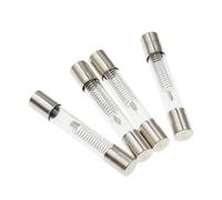 EJPPDHCO Fusible Haute Pression for Micro-Ondes, 5 KV, 0,6 A, 0,65 A, 0,7 A, 0,75 A, 0,8 A, 0,85 A, 0,9 A, 1 A, 6 x 40 mm, fusible spécial for Four à Micro-Ondes(0.8A)