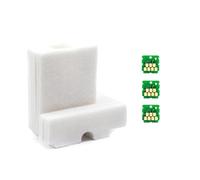 EJPPDHCO Puce et éponge de Maintenance for réservoir d'encre SC23MB S13S210125 for SureColor F170 SC-F170(Spong W 3chip)
