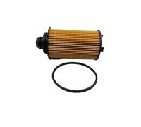 EJUOYO Filtre à Huile Kit d'éléments de Filtre à Huile pour SsangYong Actyon G4, Compatible avec Rexton Korando Musso Tivoli/XLV Torres 67318030 Filtre à Huile Automobile