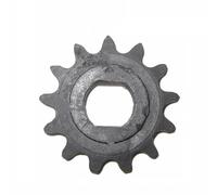 EJUOYO Pignon Moteur Pignons Pignon Ovale 9T, 10T, 11T, 12T, 13T, 14T, 15T, Dents 25H, 10 mm, adapté au Moteur de Scooter Razor Evo IZIP 500 W -1000 W Pignon de Chaîne Arrière(13T)