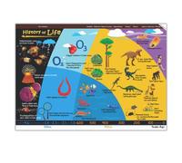 EkDali History of Life Poster A3 Size 11.7 x 16.5-inches, Ideal Gift for Kids: Posters Depicts History of Life on Earth from Formation of Earth To Evolution of Man In a Single Page