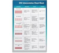 EKG Strip Analysis Poster PR Interval QRS Complex QT Segment For Emergency Room Doctor Office Wall-Art(Framed,16x24inch(40x60cm))