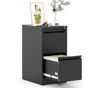 EKJ Classeur vertical à 2 tiroirs en métal pour bureau à domicile, verrouillable en acier, facile à assembler, 45,7 cm, pour juridique/lettre/A4/F4
