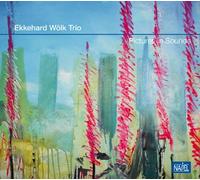 Ekkehard Wölk Trio - Pictures in Sounds
