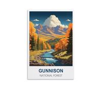 EKM ffiche de plaque en métal Forêt nationale de Colorado Affiche murale pour la maison Salle d’outils Bar Club Restaurant Café 20x30cm