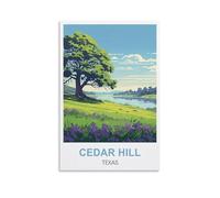 EKMCL Enseigne en métal Panneau en tôle Cedar Hill Texas Panneaux de grotte Art Plaque d’affiche Décoration murale pour la maison Cuisine Bar Club Café Décoration verger 15x30cm