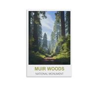EKMCL Plaque en métal, Monument national de Muir Woods, Idéale pour pub, cabanon, bar, bureau, garage aménagé, maison, chambre, salle à manger, cuisine, 15 x 30 cm