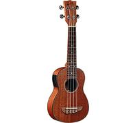 EKO Guitars Cordes pour guitare acoustique (16100401)