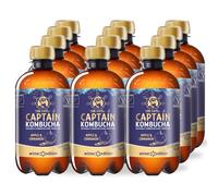 EKO BIO Captain Kombucha jabolko cimet 12x400ml