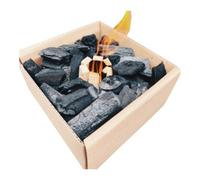 Eko bois d'allumage pour le gril 0,5 kg de charbon de bois Woodson