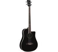 EKO NXT B100CWE Black basse électro-acoustique