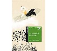 El aprendiz de heroe/ The Hero Apprentice, Ala delta: serie verde/ Hang Gliding Green Series Alberto Torres (Auteur)