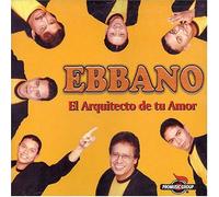 El Arquitecto De Tu Amor