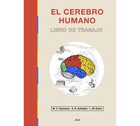 El cerebro humano: Libro de trabajo