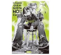 El chico que me gusta no es un chico n.3 (alt) (púa)