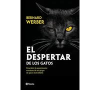El despertar de los gatos