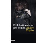 El destino de un gato común