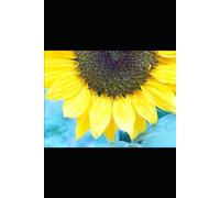 EL ESPEJO ROTO: Cuando el Amor se Convierte en Arma: Una Mirada Clínica al Maltrato Invisible