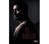 El Gallo