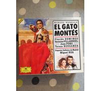 El Gato Montes Wildcat