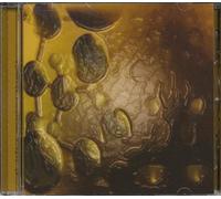 El Jefe's Amorphous Phormula