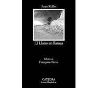 El Llano en llamas