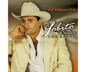El Lobito de Sinaloa - Higuerita