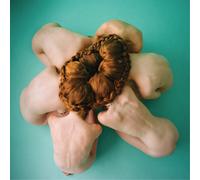 El May The Other Person Is You (Vinyl) 12" Album