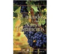 El Mundo del Nuevo Testamento/ The World of the New Testament J. I. Packer (Auteur)