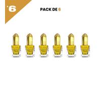 el Nabil - Royal Gold - Parfum Concentré Sans Alcool, 6*5ml