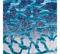 El Nino & The Southern Oscillations El Nino & the Southern Oscillations (Vinyl)