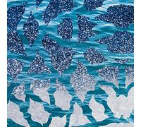 El Nino & The Southern Oscillations El Nino & the Southern Oscillations (Vinyl)