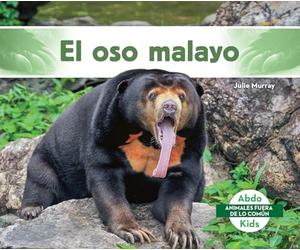 El oso malayo/ Sun Bear