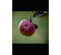 El Porqué de Mirar a Jesucristo y Ponerlo Todo a un Lado por Su Amor