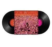 El Primer Instinto [Import]