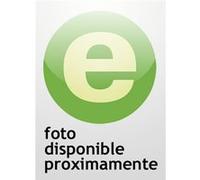 El Rey Del Sol Garcia, Carlos A Editorial Nuevos Editores (Auteur)