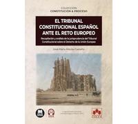 El Tribunal Constitucional español ante el reto europeo: Recopilación y análisis de la jurisprudencia del Tribunal Constitucional sobre el Derecho de la Unión Europea