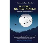 El Vuelo de los Gansos: Empresas dirigidas al éxito