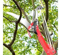 Élagage de tondeuse à haute altitude pour cisailles à élaguer, branches extensible avec manche télescopique en aluminium