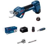 Élagueur sans fil Pro Pruner GGP 12V-25 Professional avec 2 Batteries + 1 Chargeur - BOSCH - 06008D8100