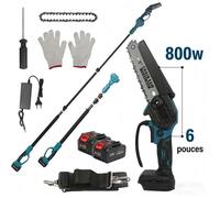 Élagueuse sans fil 2-en-1 - Tige télescopique 2 5 m chaîne 15 cm 800W 2 batteries Mini tronçonneuse + perche