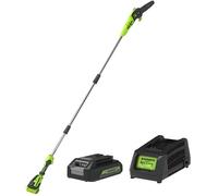 Greenworks Élagueuse sur perche G40PSFK2, 20 cm, portée 2,58 m, batterie 40V 2Ah