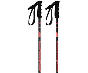 Elan Bâtons Speedrod W