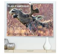 ÉLAN D'AMÉRIQUE - ROI DES FORÊTS DU NORD (Calendrier mural haut de gamme 2027 DIN A2 vertical), CALVENDO calendrier mensuel: Comme un roi dans son ... et aucun autre animal ne viendra le déranger.